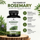 rosemary-extract-veg-capsules-daily-nutr-71Hj0qApy3L.jpg