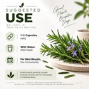 rosemary-extract-veg-capsules-daily-nutr-71vAfyenfLL.jpg