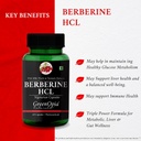 berberine-hcl-multivitamins-for-men-well-61AXHhT7-oL.jpg