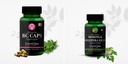 bc-caps-vaginal-moringa-oleifera-wellnes-51eNP8u4V-L.jpg