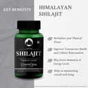 shilajit-spirulina-wellness-daily-vitali-61IBxXn5i-L.jpg