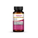 shudh-extracts-jamun-capsule-10x-power-h-61L3sWmrE7L.jpg