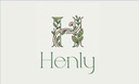 henly-moringa-powder-superfood-helps-nat-41RXCCngMaL.jpg