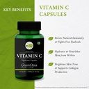 l-carnitine-1-moringa-oleifera-vitamin-c-61kPS7HYnhL.jpg