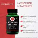 l-carnitine-1-moringa-seed-oil-multivita-61xbTiXTdsL.jpg