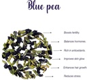 butterfly-pea-tea-weight-loss-skin-glow--615jsKq4qVL.jpg