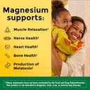nature-made-high-potency-magnesium-400-m-81lexOBewiL.jpg