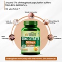 vlado-s-himalayan-organics-zinc-citrate--71T8qmVDxJL.jpg