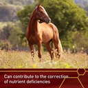 vita-flex-pro-e-and-selenium-supplement--91aH4KE0fDL.jpg