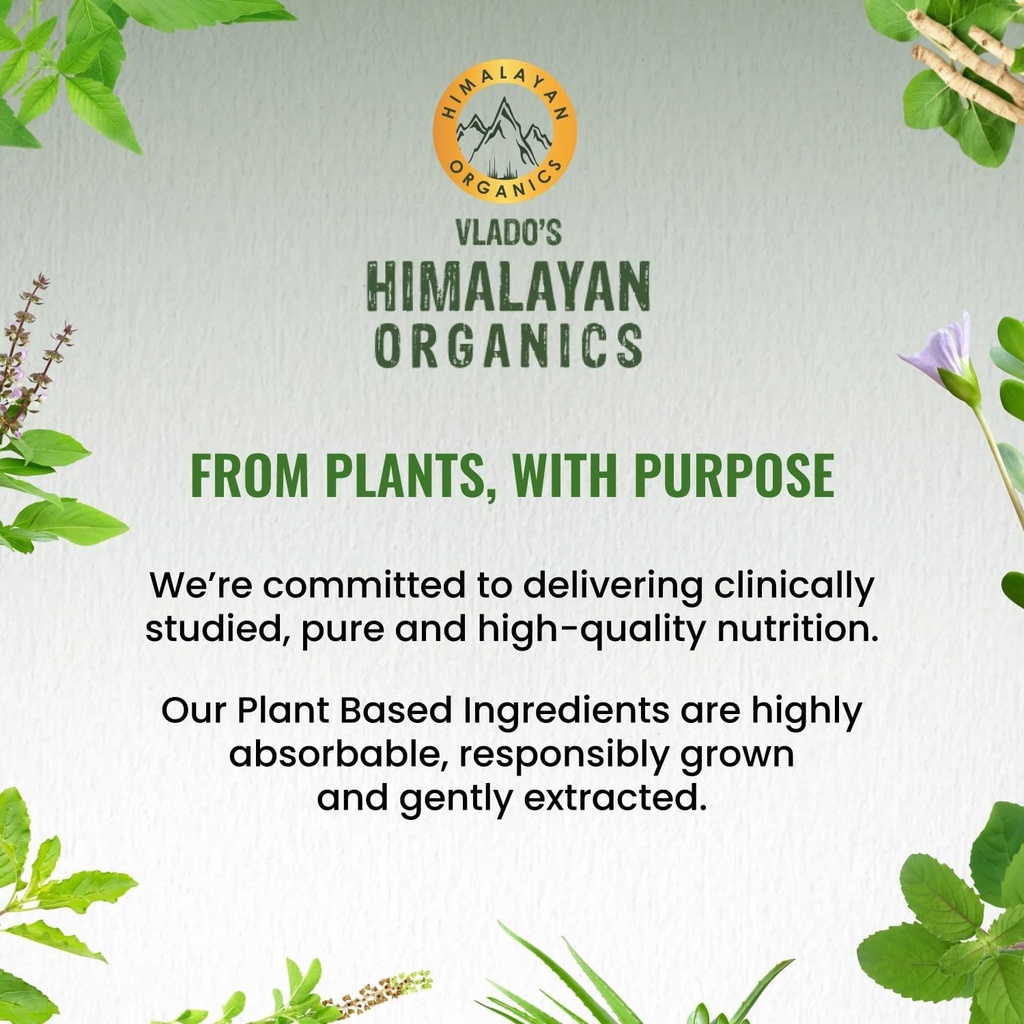 vlado-s-himalayan-organics-l-lysine-500m-71zUxKT3u7L.jpg