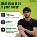 cordyceps-sinensis-keeda-jadi-500mg-supp-81+IgFSQ4TL.jpg