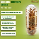 cordyceps-sinensis-keeda-jadi-500mg-supp-81T+CIfzK3L.jpg