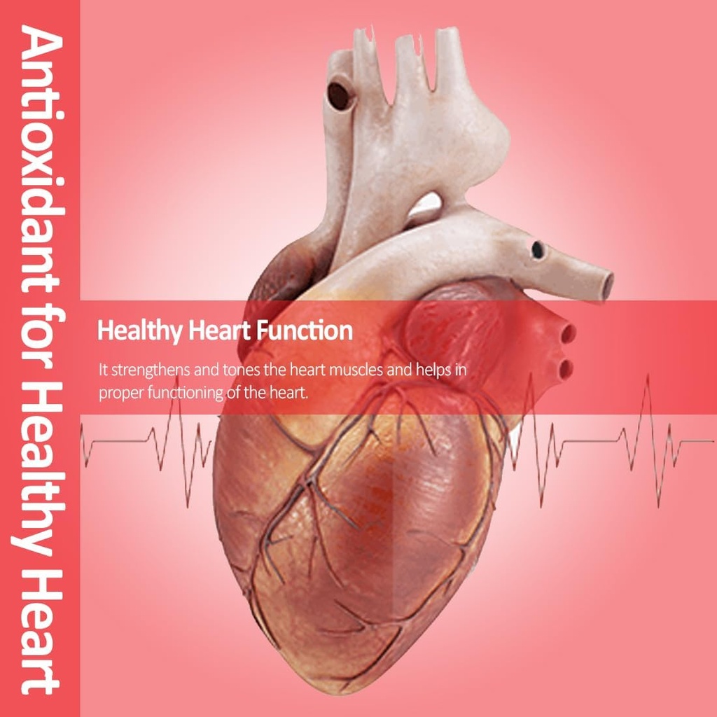 vokin-biotech-natural-cardiovax-with-coe-61fsCd88gwL.jpg