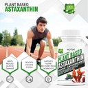 hxn-astaxanthin-6mg-supplement-with-grap-612Uk7q9BzL.jpg