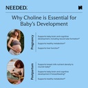 needed-prenatal-choline-for-cognitive-de-710HPHCH35L.jpg