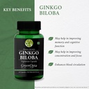glucosamine-msm-tablets-ginkgo-biloba-ve-617d5b7IeaL.jpg
