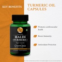 haldi-oil-vegetarian-capsules-brahmi-veg-61g9ErbRsHL.jpg