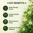 pure-nutrition-brahmi-tablets-brahmi-sup-81rtZd+XN5L.jpg