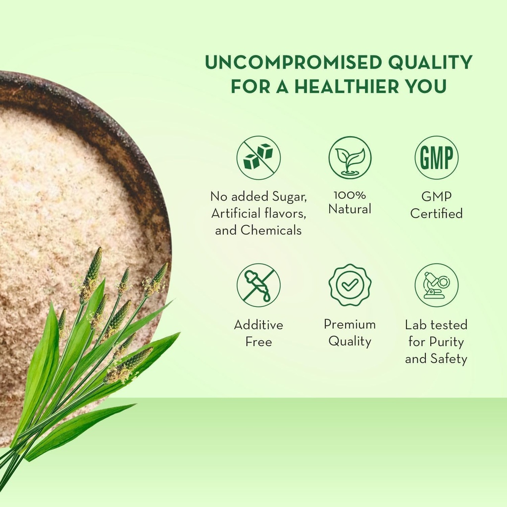 baidyanath-asli-ayurved-isabgol-psyllium-71lmALkbaLL.jpg