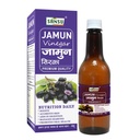 sansu-jamun-vingar-ayurvedic-natural-sir-81M-oe4vaBL.jpg