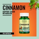 morpheme-remedies-cinnamon-extract-500-m-61stT8Vg6iL.jpg
