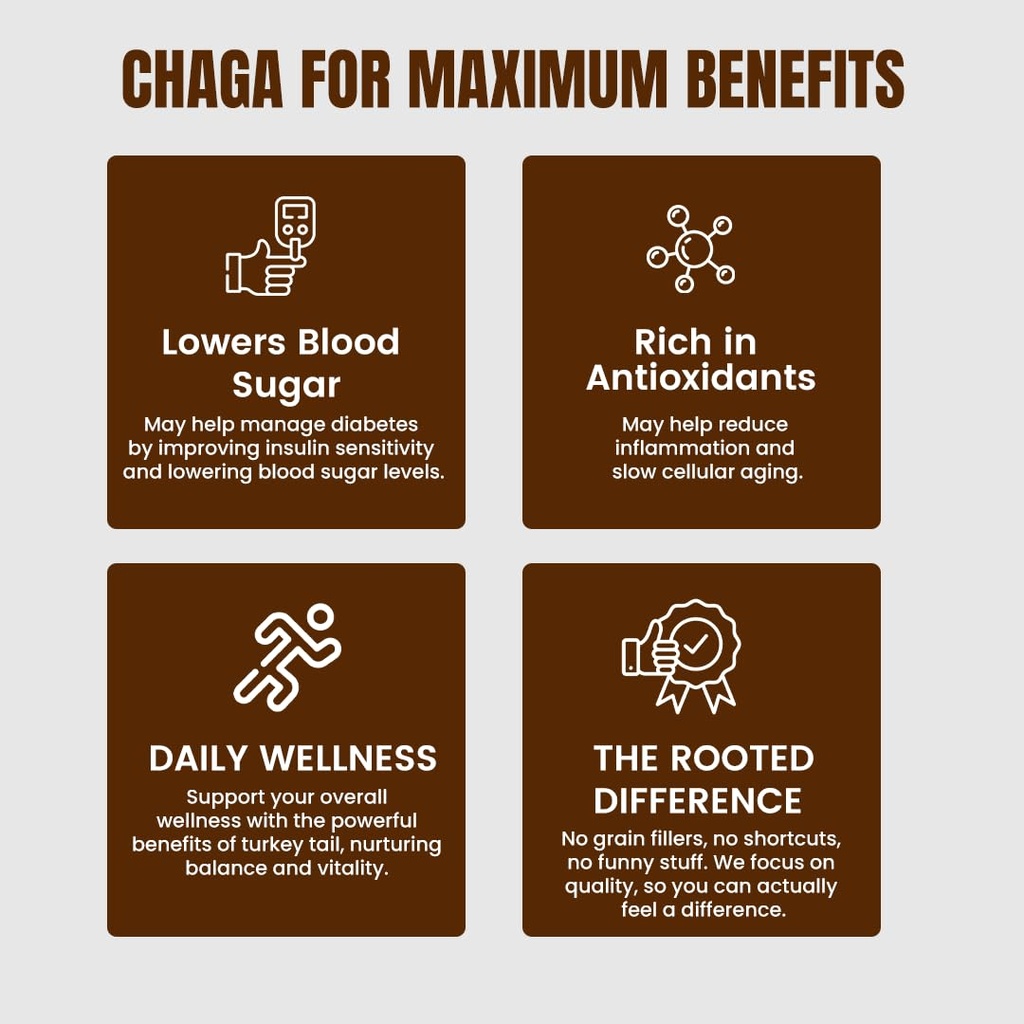 rooted-actives-siberian-chaga-mushroom-c-61VyZ8OdIlL.jpg