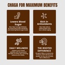 rooted-actives-siberian-chaga-mushroom-c-61VyZ8OdIlL.jpg