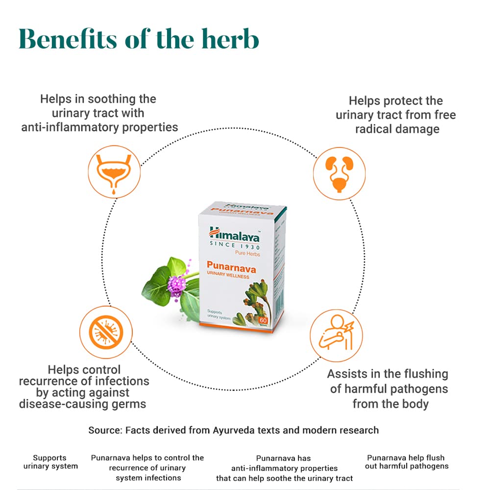 himalaya-punarnava-tablets-60-count-pack-61l4ICZmggL.jpg