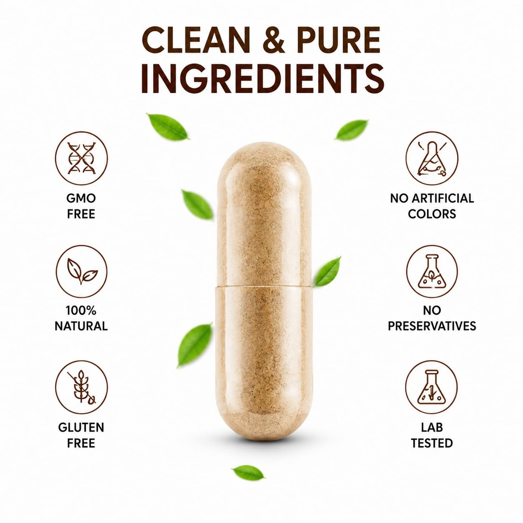 way-of-pleasure-ganoderma-reishi-mushroo-61ZLbd4joIL.jpg