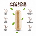 way-of-pleasure-ganoderma-reishi-mushroo-61ZLbd4joIL.jpg