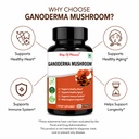way-of-pleasure-ganoderma-reishi-mushroo-71DxSu9OsoL.jpg