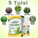 kudos-ayurveda-tulsi-amrit-best-tulsi-dr-61R-ami0EtL.jpg