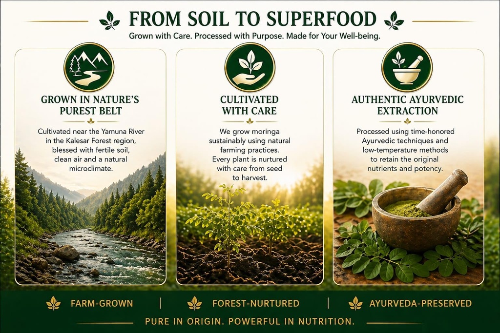 moringa-powder-200g-50g-extra-essential--71vXIYrSPlL.jpg