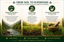 moringa-powder-200g-50g-extra-essential--71vXIYrSPlL.jpg