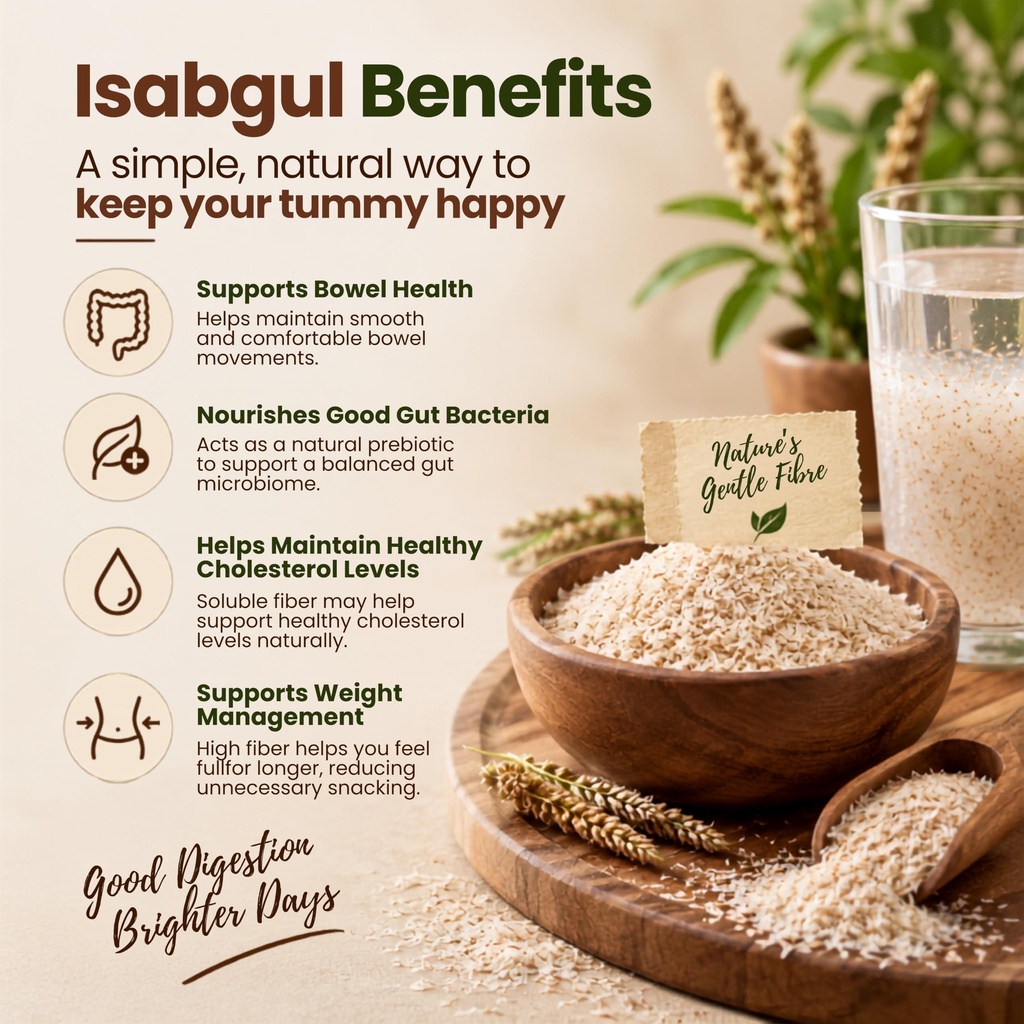 sat-isabgol-powder-ayurvedic-psyllium-hu-81ulGYMOaiL.jpg
