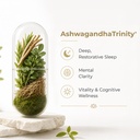 ashwagandhatrinity-premium-5-herb-ayurve-71ZR1kv4PiL.jpg