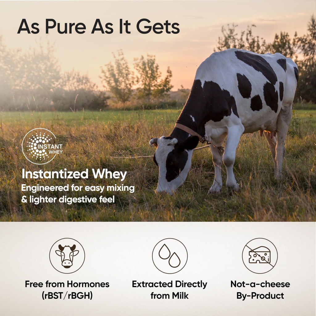 wellbeing-nutrition-clean-whey-protein-i-9180frDTNIL.jpg