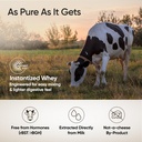 wellbeing-nutrition-clean-whey-protein-i-9180frDTNIL.jpg