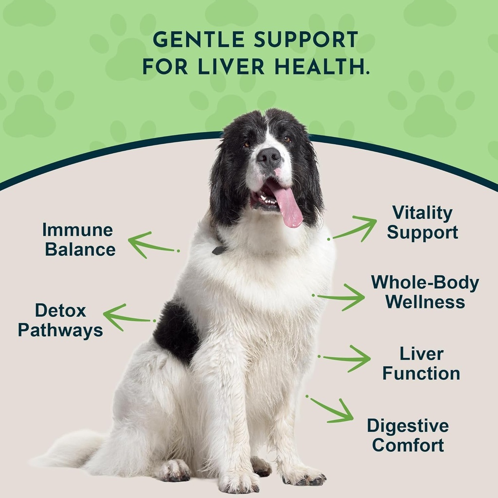 animal-essentials-liver-defense-for-dogs-2.jpg