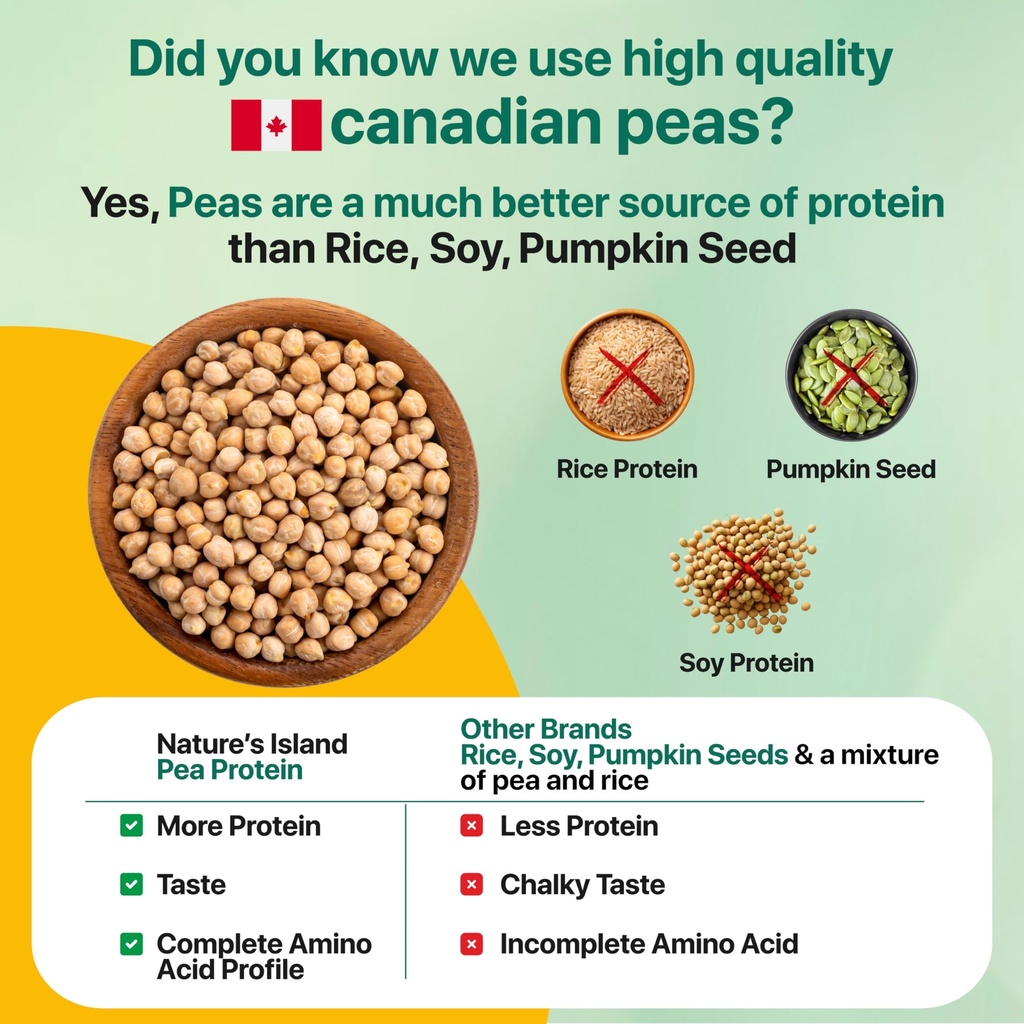 nature-s-island-plant-protein-1-kg-canad-81HSlKTjvmL.jpg
