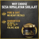 sesa-himalayan-shilajit-resin-20-g-shila-71DJHhJnTiL.jpg