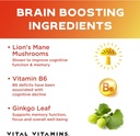 vital-vitamins-brain-booster-plus-biotin-4.jpg