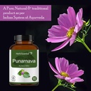herb-essential-punarnava-tablets-500-mg--81flEVUS6fL.jpg