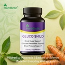 gluco-shild-herbal-blood-sugar-support-a-61uMQxctiQL.jpg