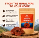 himalayan-reishi-mushroom-powder-30-gms-719wimcu+TL.jpg