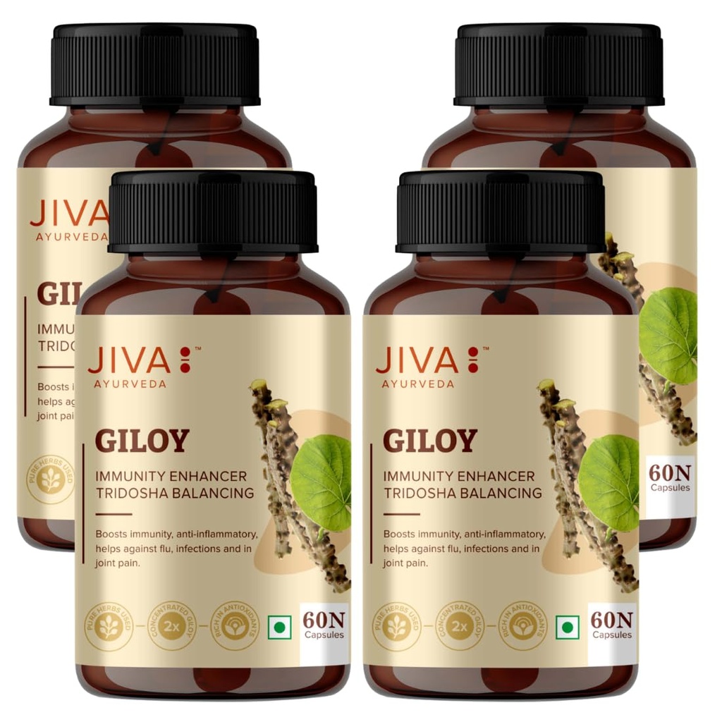 jiva-giloy-60-1-capsule-for-digestion-10-61ehKVrFztL.jpg