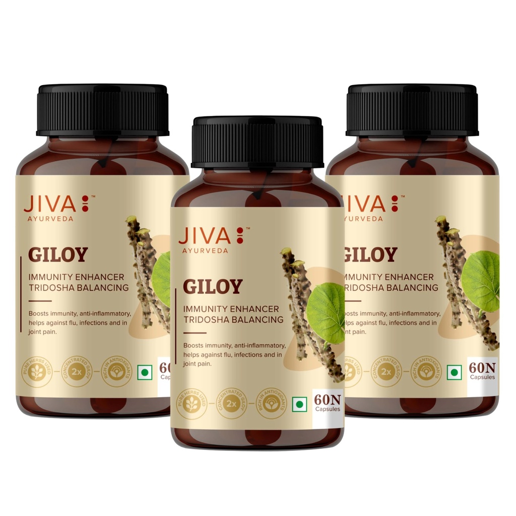 jiva-giloy-60-1-capsule-for-digestion-10-711mG4yA3bL.jpg