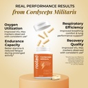 rooted-active-naturals-organic-cordyceps-610yGMpQAgL.jpg