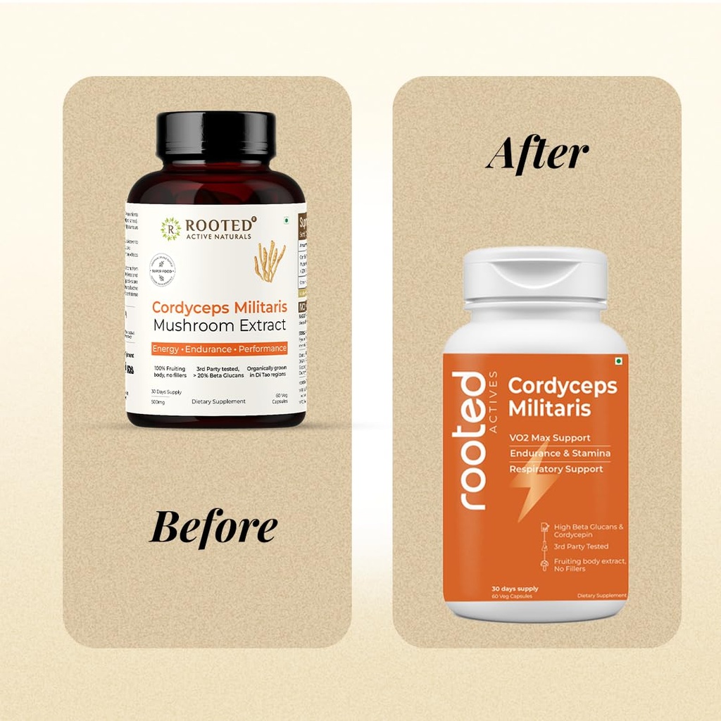 rooted-active-naturals-organic-cordyceps-61waUgEB90L.jpg