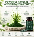 spirulina-bliss-certified-100-organic-pu-717MZfgZAyL.jpg